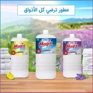 Magix javel 5l
